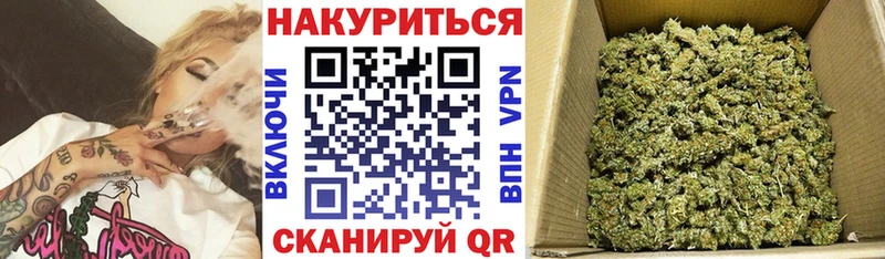 где можно купить наркотик  Черноголовка  Каннабис VHQ 