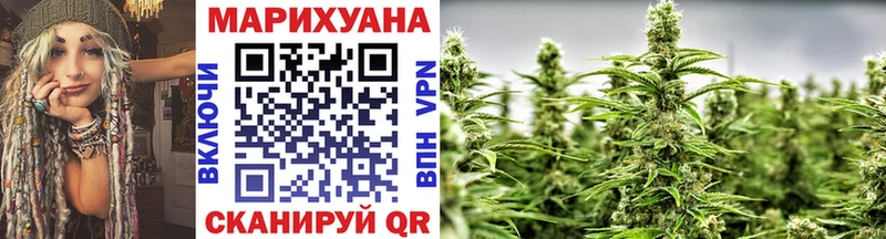 Бошки Шишки план Черноголовка